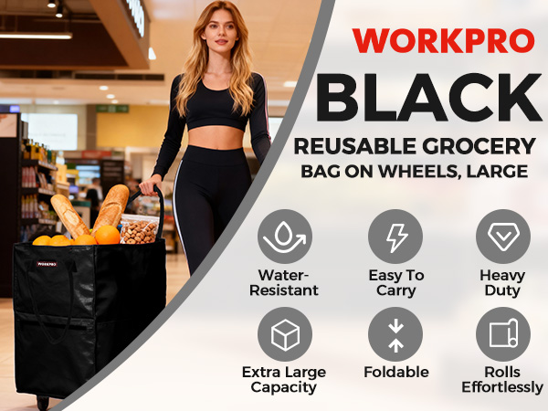 Reusable Grocery Bag on Wheels