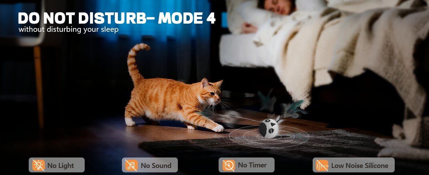 cat toy