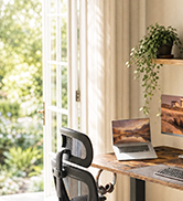 Home office workspace with desk, monitor, chair, and window with natural light and plant decoration.