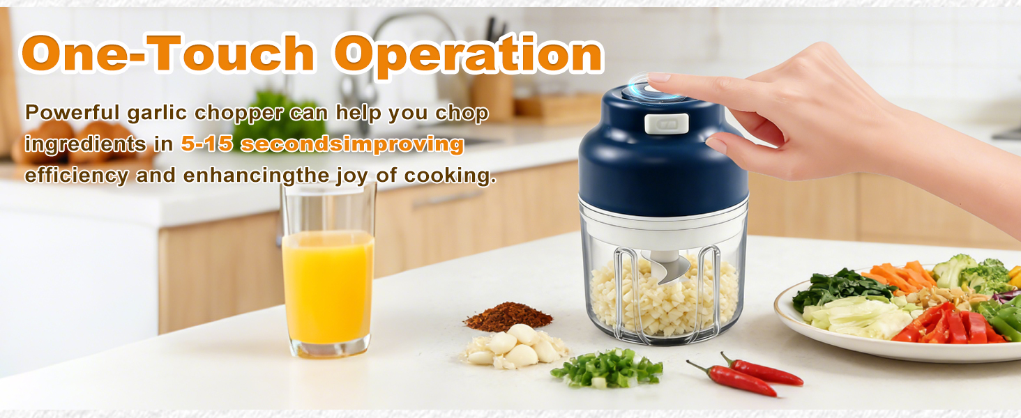 mini food processor