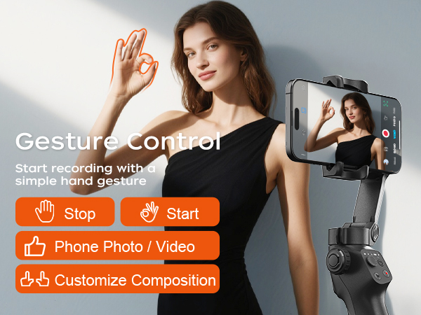 gesture control