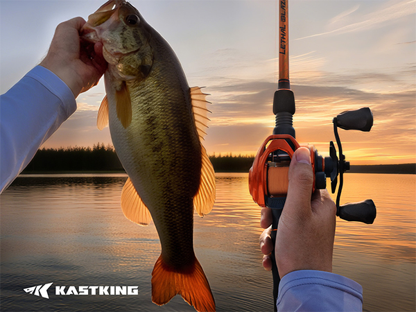 lethal blaze, orange line