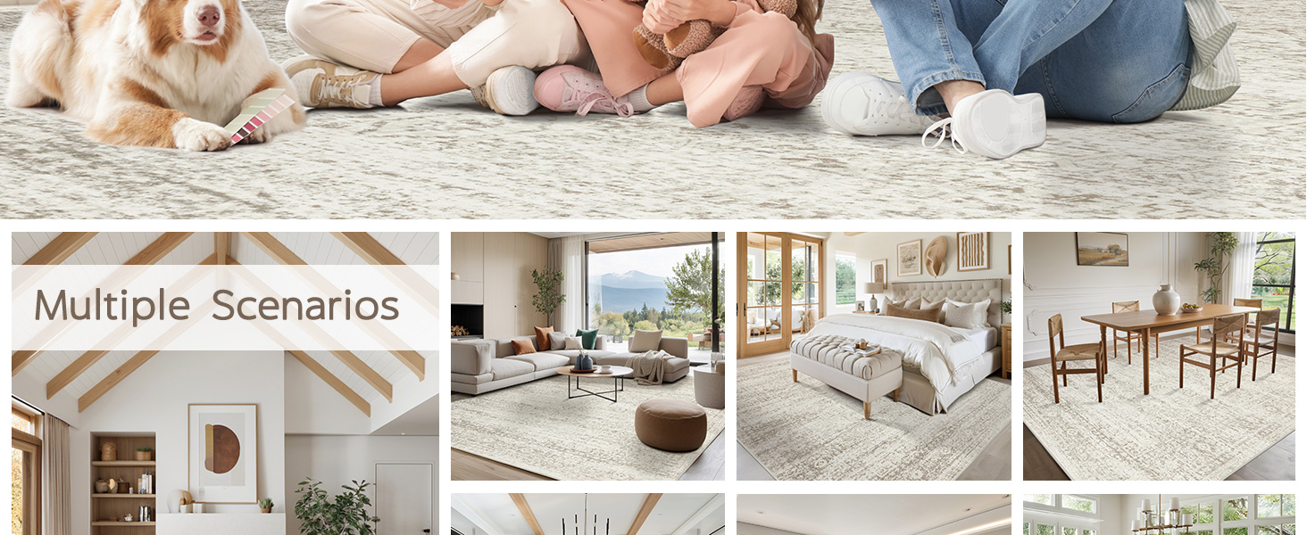 area rugs 8x10 clearance