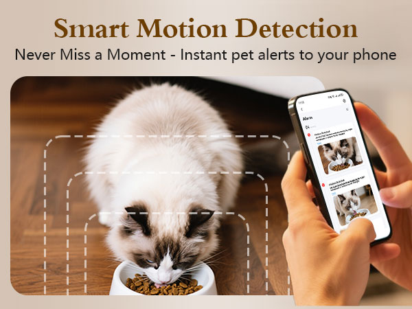 automatic dog feeder