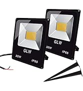 GLW 30W LED Flood Light 12V~24V AC/DC Outdoor Landscape Lighting 3000K 2700LM Warm White Waterpro...