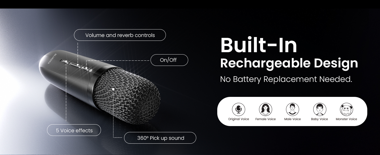 Home Entertainment System