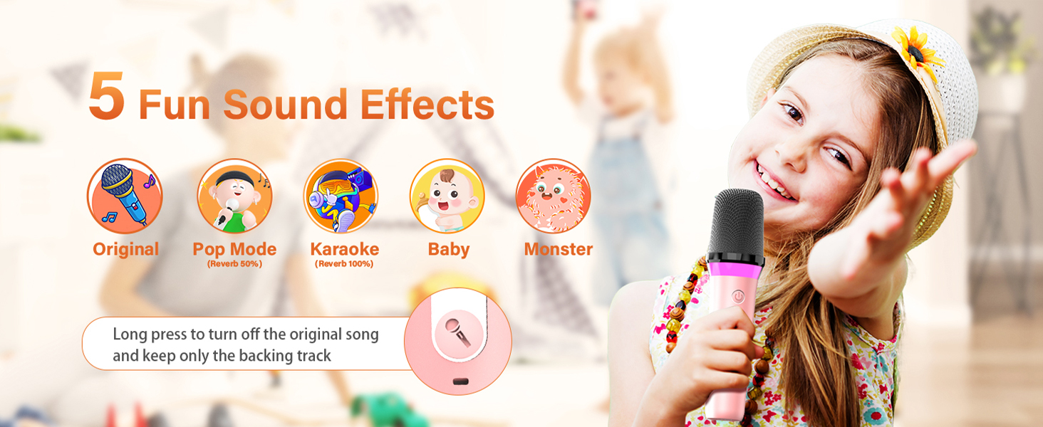 Portable Bluetooth Speaker with 2 Wireless Microphone