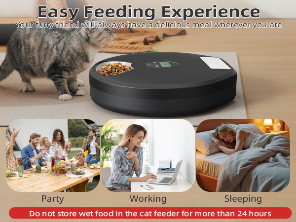 Automatic Pet Feeder