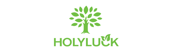 holyluck bag