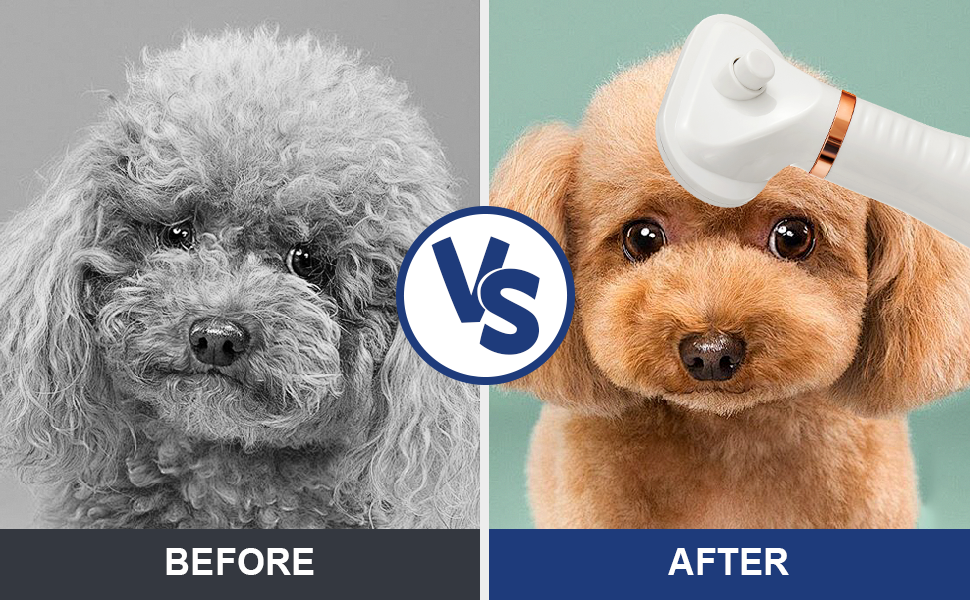 dog washing station dog towel hair brush blow dryer dog bath supplies dog hair vacuum