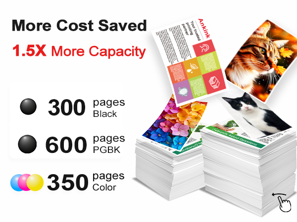 250XL INK CARTRIDGE
