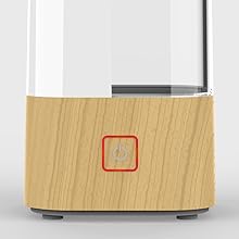 Low water indicator and auto shut-off.