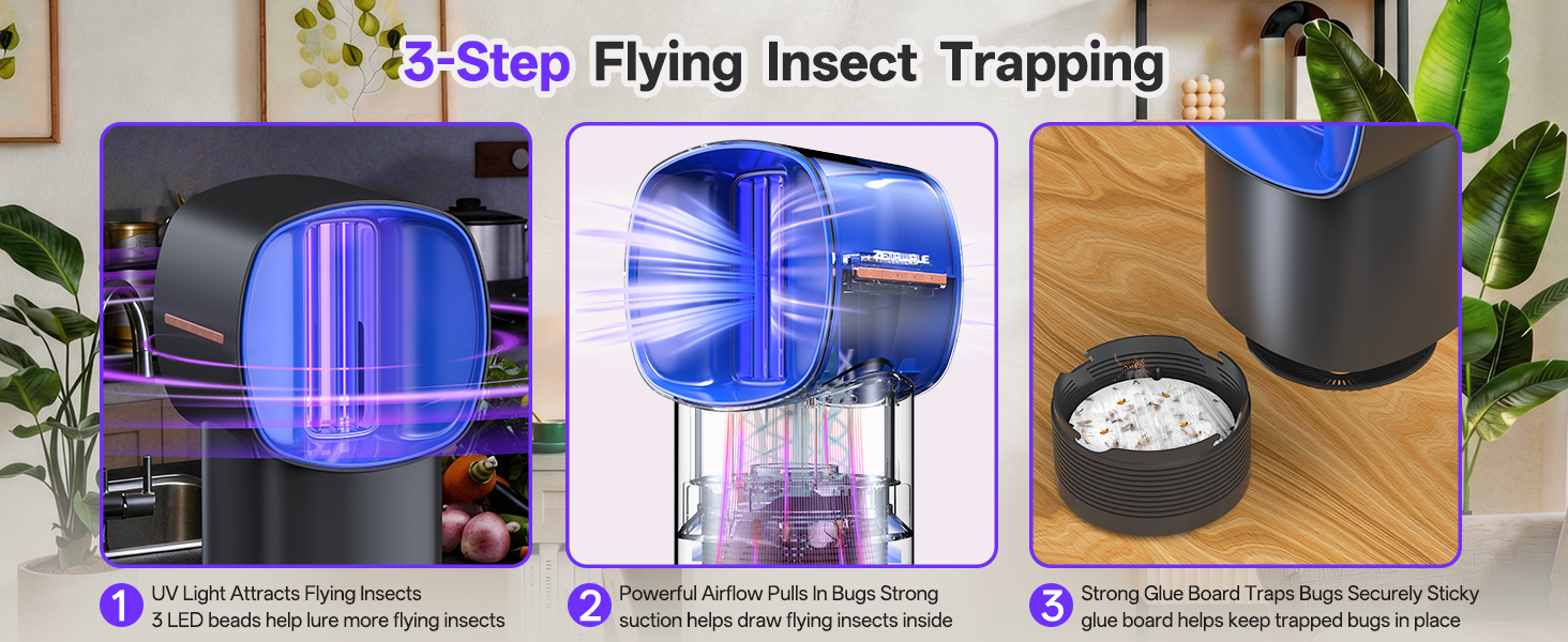 fruit fly traps