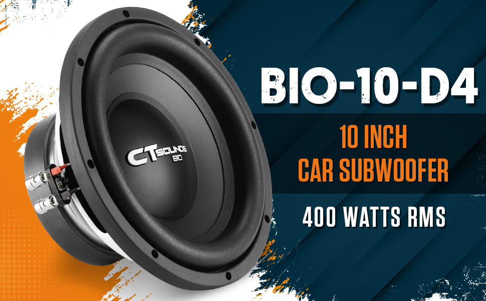 10 inch subwoofer