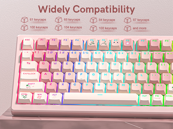 for 61/68/84/87/100/104/108 Mechanical Keyboards