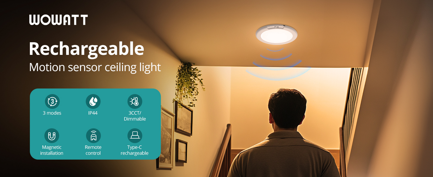 Battery Operated Ceiling Light