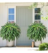 MARTINE MALL 2Pcs 48''/128 Leaves Artificial Ferns for Outdoors Look Real Fake Ferns, Large Faux ...