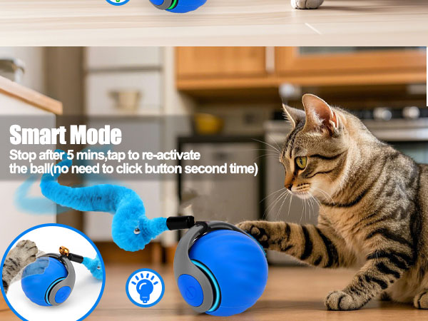 cat toy