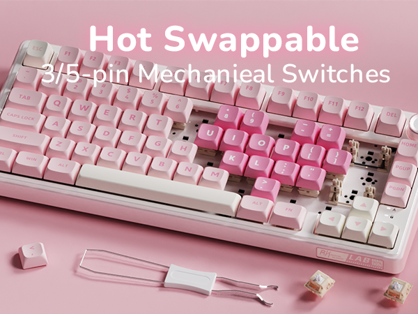 HOT SWAPPABLE