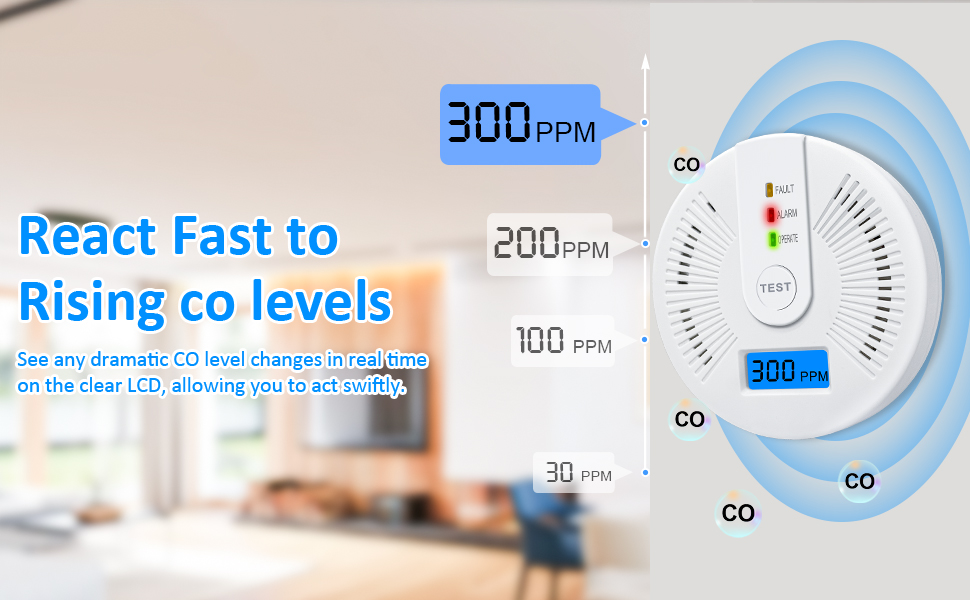 2 Pack Carbon Monoxide Detectors