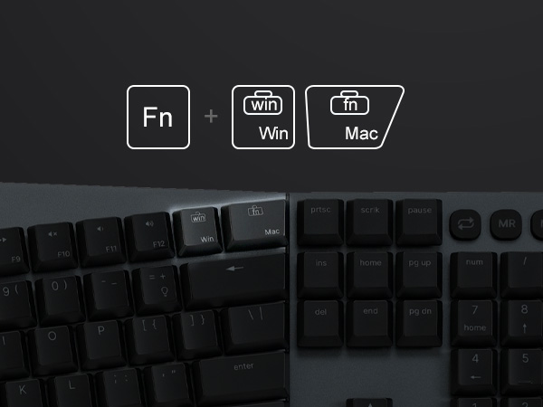 system