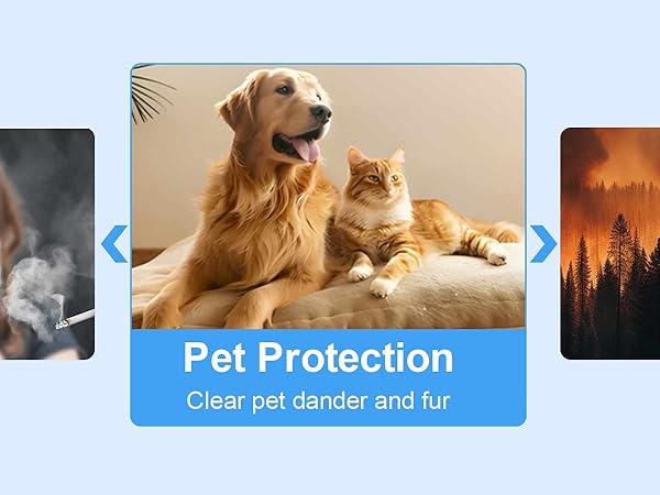 211+ Replacement Filter