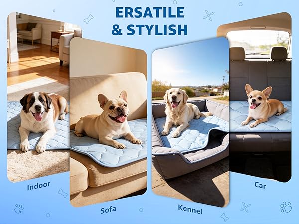 Dog Cooling Mat