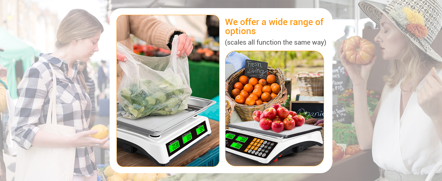 Commercial Food Scale