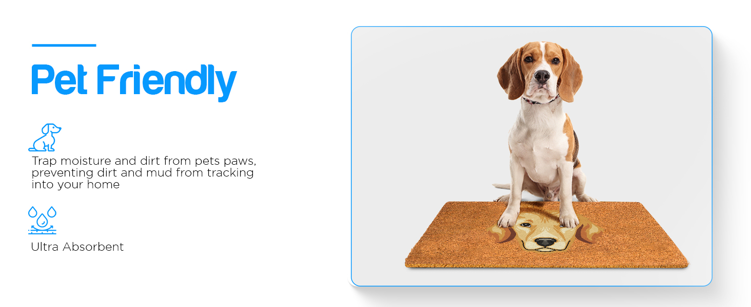 pet friendly jute door mat