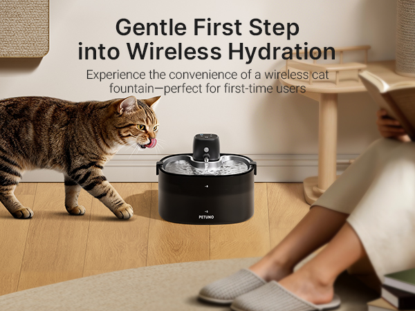 cat water fountain cordless