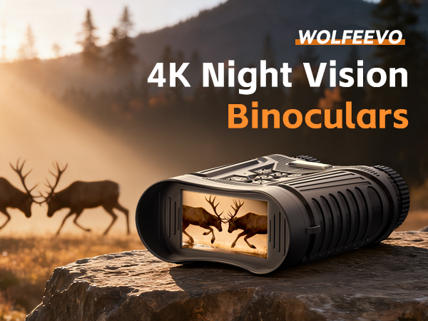 night vision goggles