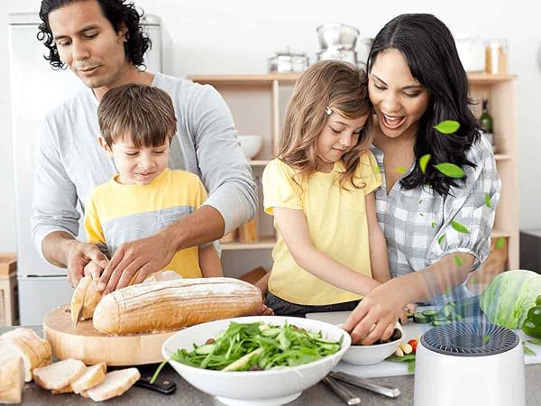 LQ-Mini-AA-1200900-A13