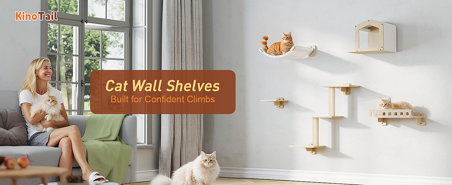 cat wall shelves