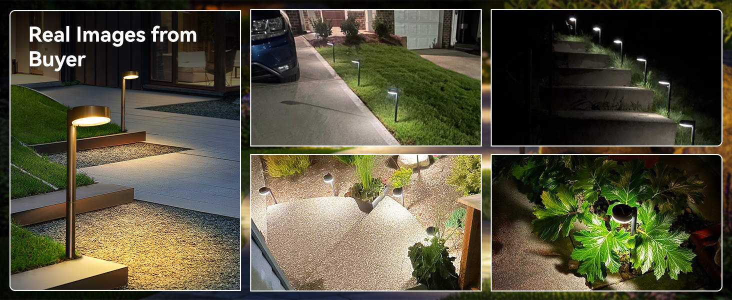 outdoor solar yard lights