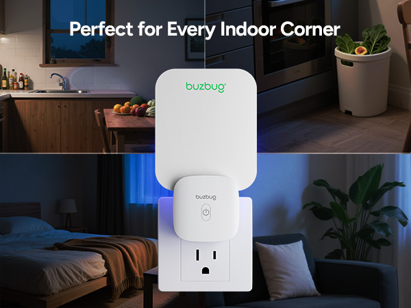 This fruit fly killer has no zapping, odors, or mess. The glue cards face inward