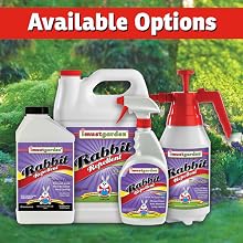 rabbit repellent natural effective best 