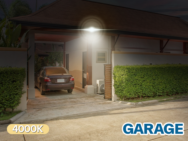 Flood Light