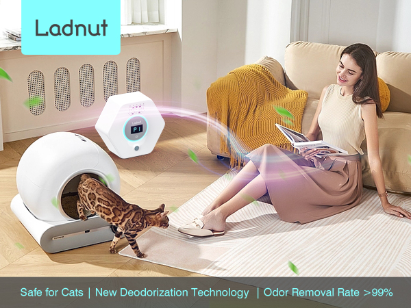 Cat litter odor deodorizer