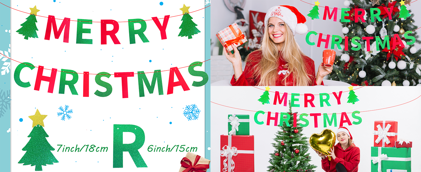 Merry Christmas Party Banner