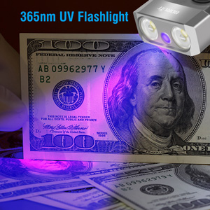 flashlight with UV black light