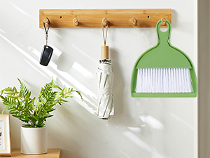 hand broom and dustpan set