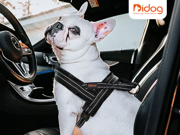no pull dog harness