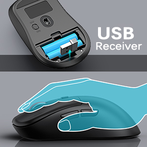 mouse