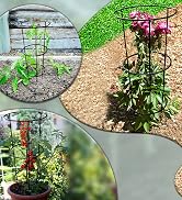 ARSUK Garden Cage Plant Support Flower Border Frame for Peonies, Hydrangea, Roses Heavy Duty (Con...
