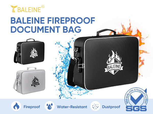 fireproof document bag