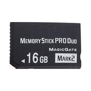 Memory Stick PRO-HG Duo Card 