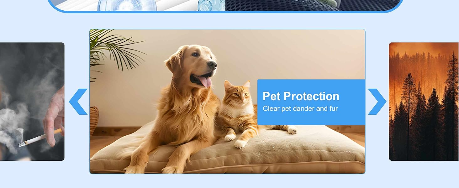 211+ Replacement Filter