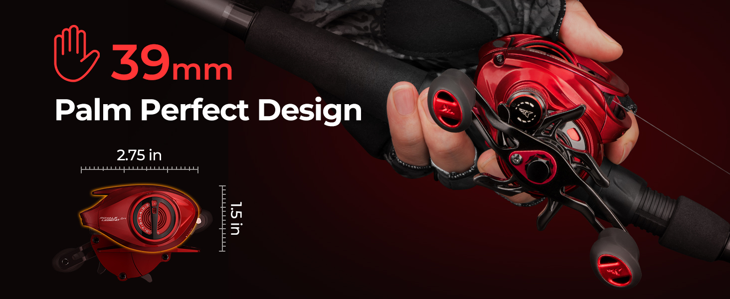 baitcasting fishing reel