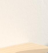 Ergonomic Wireless Trackball Mouse