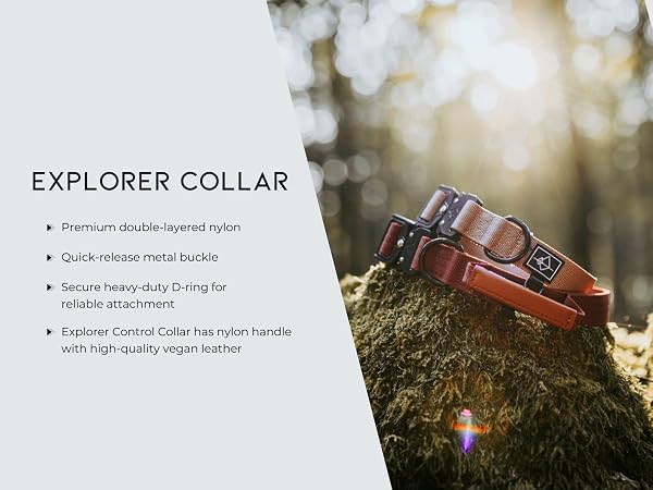 Explorer Collar